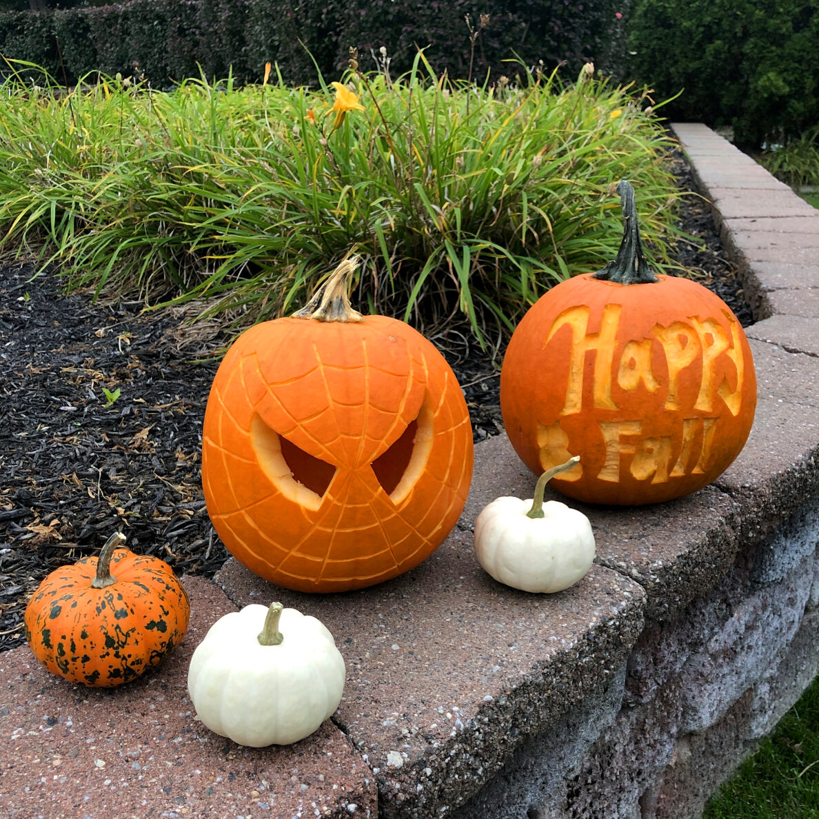 pumpkins carved