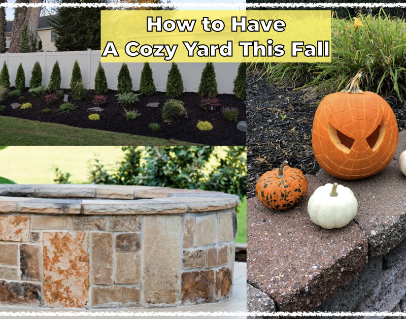 Creating A Cozy Backyard for Fall