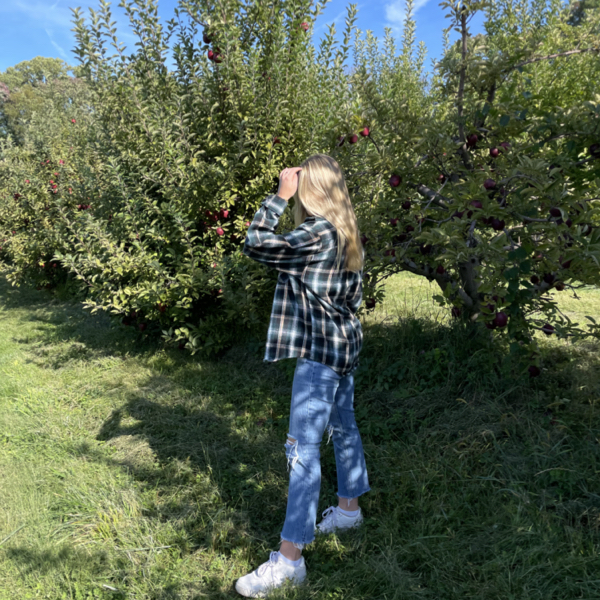 Riamede Farm: North Jersey Farm for Apple Picking This Fall