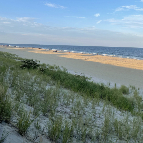 Best Beach Towns in New Jersey to Visit This Summer 2022