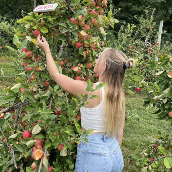 Apple Picking in NJ 2022 at Riamede Farm in Chester