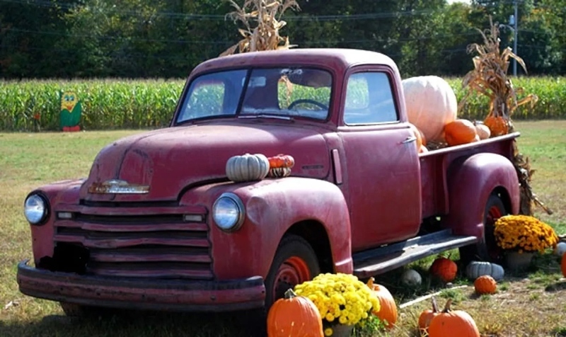 pumpkin picking field trip nj