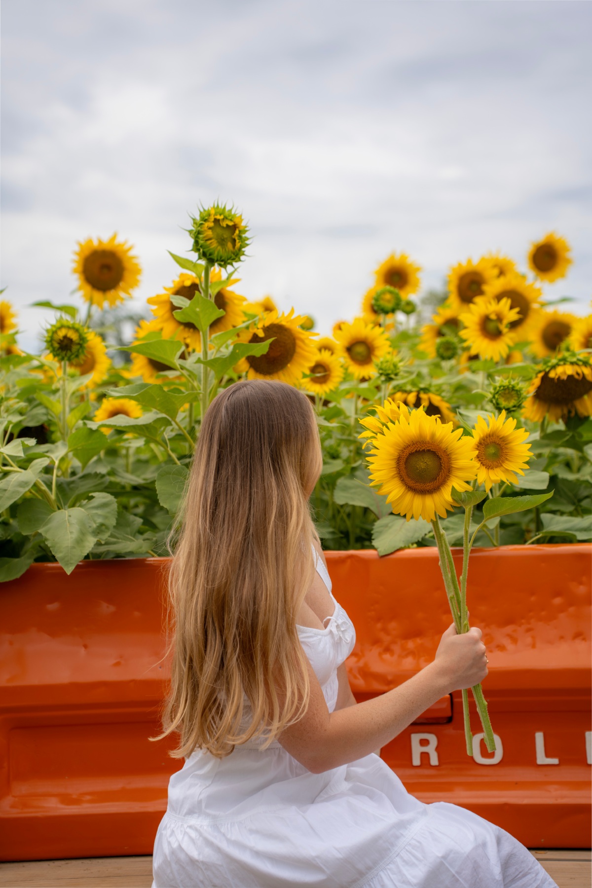 Jess at a NJ Sunflower Field