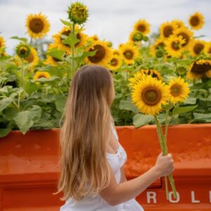 The Ultimate Guide to Sunflower Fields in NJ 2024