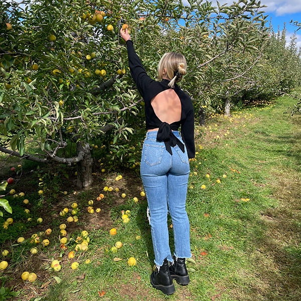 33 Best Spots for Apple Picking in New Jersey (2025)