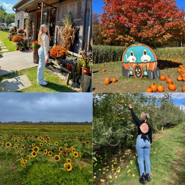 14 Farms to Visit in New Jersey This Fall