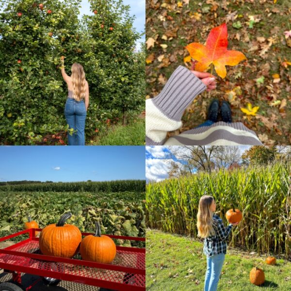 The Ultimate New Jersey Fall Bucket List 2026